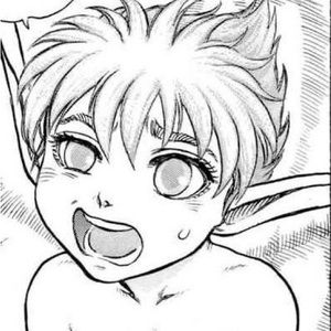 Meet your Posher, Irvin